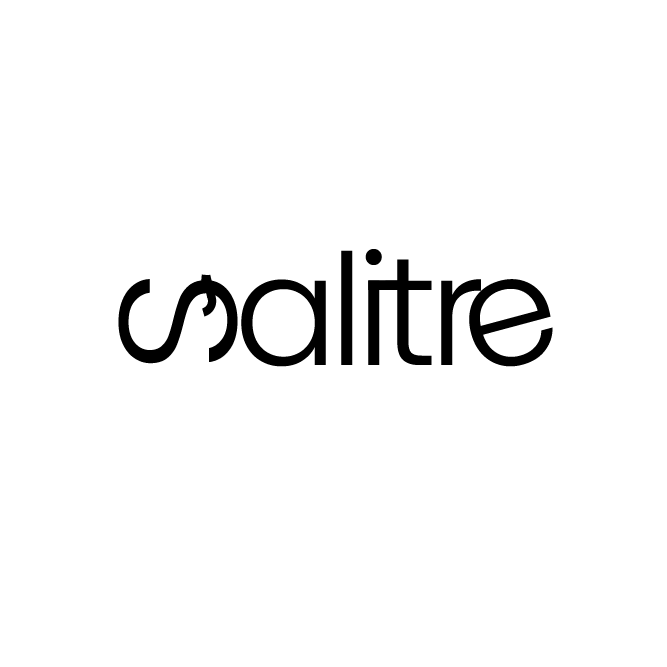 Logo salitre
